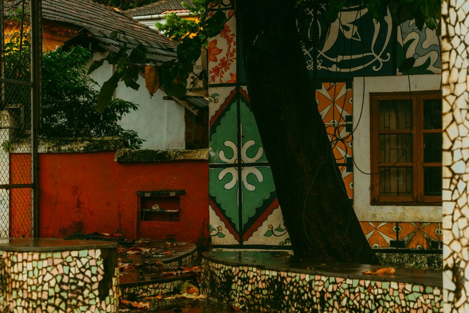 A painted exterior wall with a tree in front.